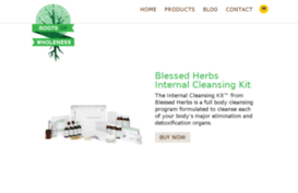 rootsofwholeness.com