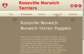 rosevillenorwich.com