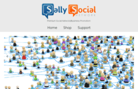 sallysocialnetwork.com