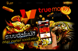salsk.net