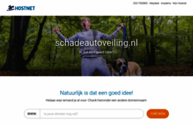 schadeautoveiling.nl