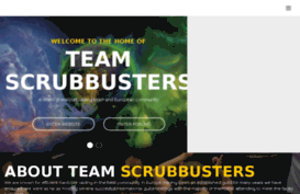 scrubbusters.com