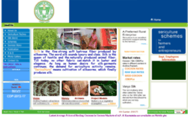 seri.telangana.gov.in