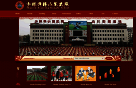 shaolinwushu.net