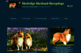 shelridge.org