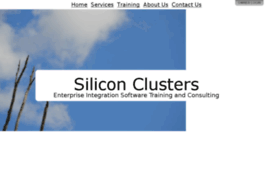 siliconclusters.com