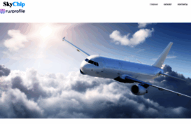 skychip.ru