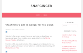 snapginger.com