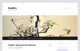 spwin.ru