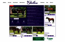 stallions.com.au