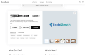 techsleuth.com