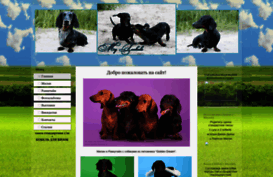 teckels.okis.ru
