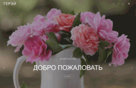 terei.ru