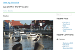 testmysitelive.com