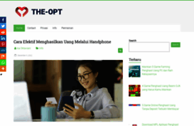 the-opt.com