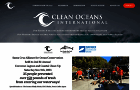thecleanoceansproject.com