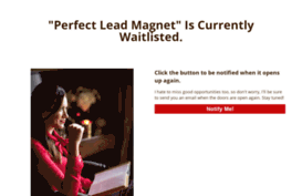 theperfectleadmagnet.com