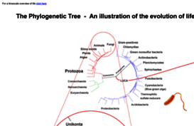thephylogenetictree.com