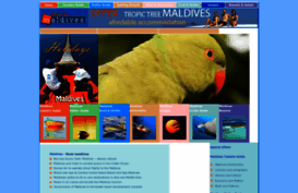 thisismaldives.com