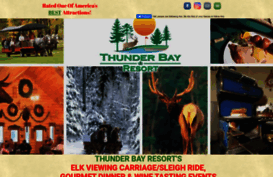 thunderbayresort.com