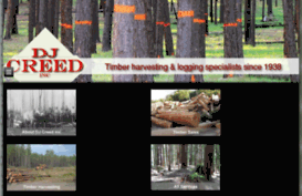 timberharvestingloggingsc.com
