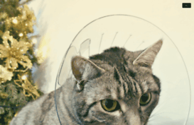 toyger.com.ua