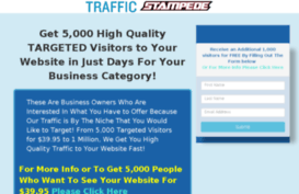 trafficstampede.net