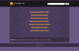true-traffic.com
