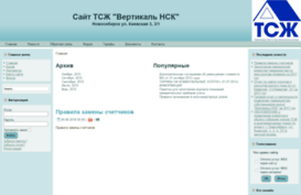 tsg-vertikal.ru