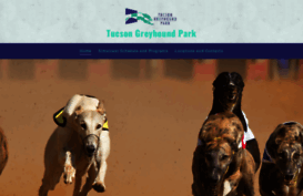 tucsongreyhound.com