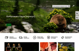 ussurtaigadv.ru