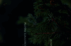 video.sliderweb.ru