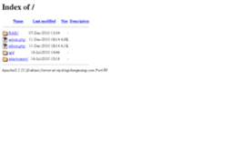 vip.bingchengwang.com