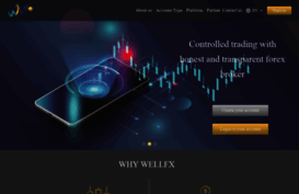 well-fx.com