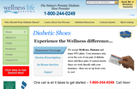wellnesslifesystems.com