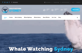 whalewatchingsydney.com.au
