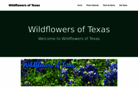 wildflowersoftexas.com