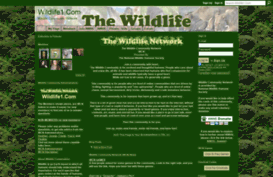 wildlife1.com