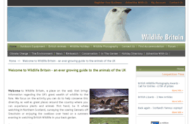 wildlifebritain.com