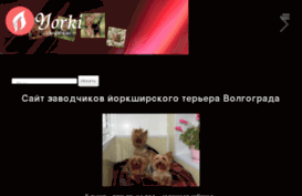 york-terier.ru