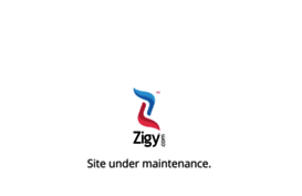 zigy.com