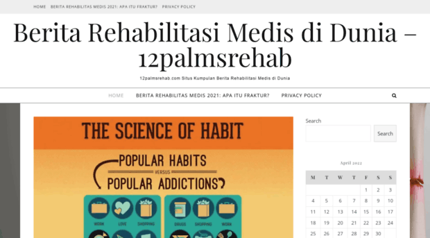 12palmsrehab.com