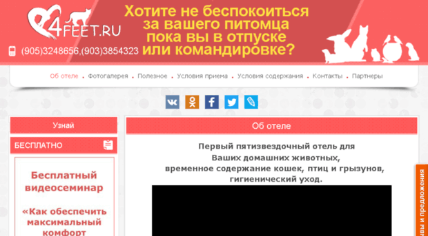 4feet.ru