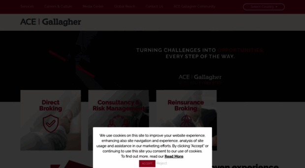 ace-ins.com