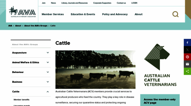 acv.com.au