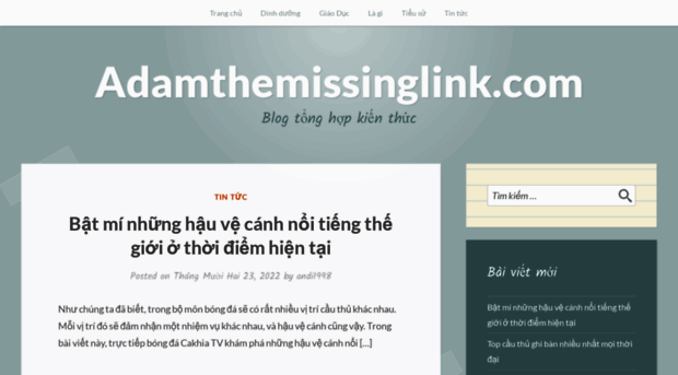 adamthemissinglink.com