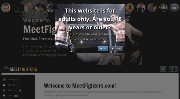 admin.meetfighters.com