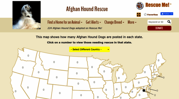 afghanhound.rescueme.org