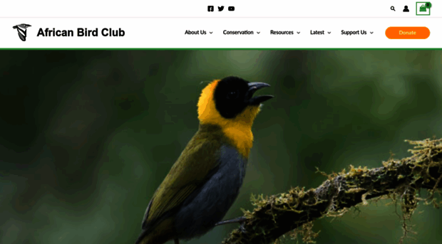 africanbirdclub.org