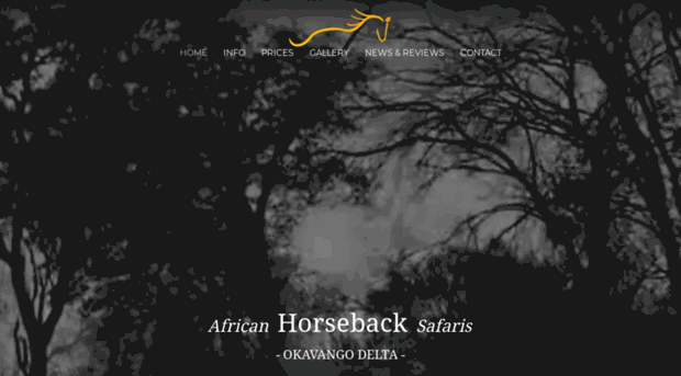 africanhorseback.com